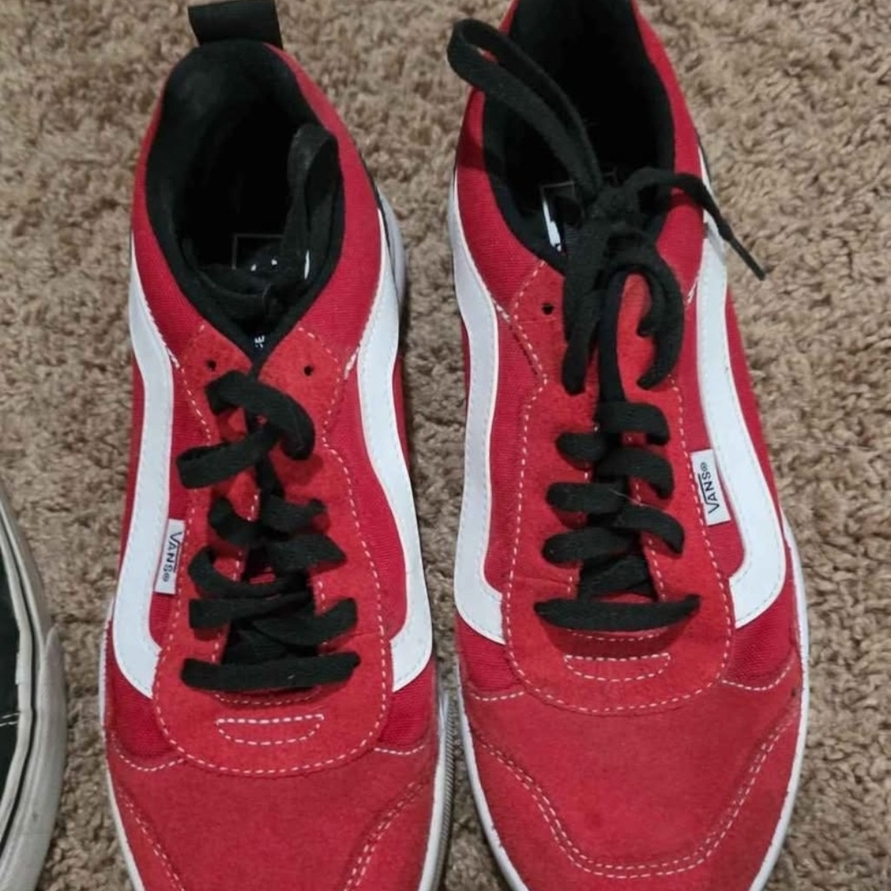 Vans Black and Red Low-Top Skate Shoe